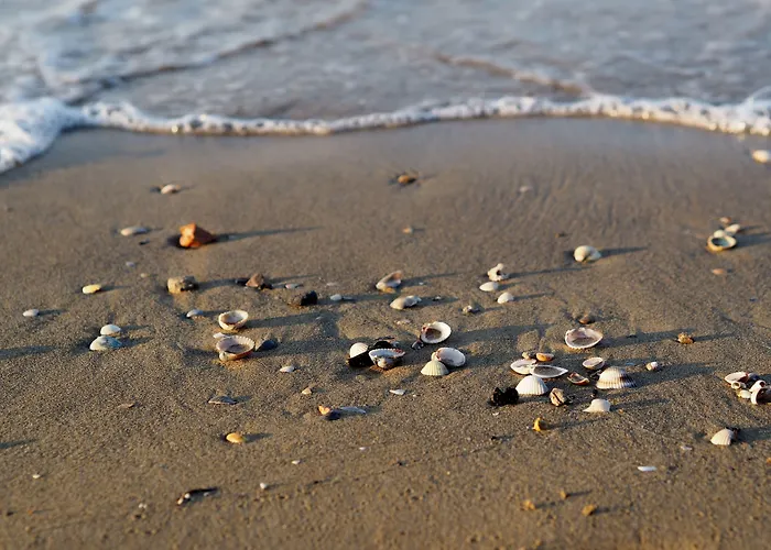 Sea-front In An Excellent Position